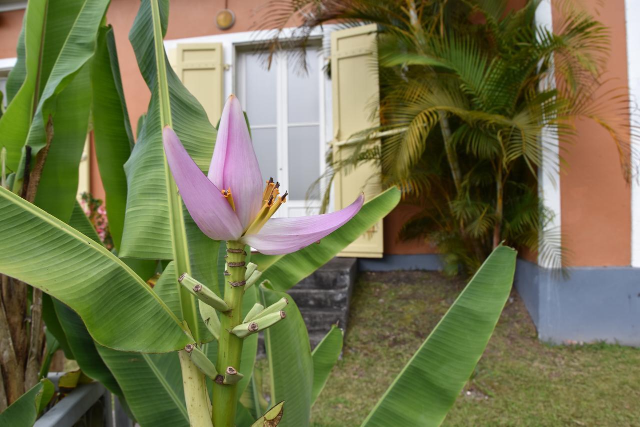 Fleur Des Iles Acomodação com café da manhã Bras-Panon Exterior foto